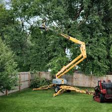 Best Tree Preservation Services  in Armada, MI